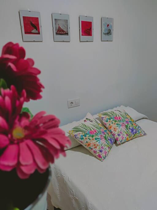 Apartamento Acerota, Con Parking Gratuito Córdoba Exteriér fotografie